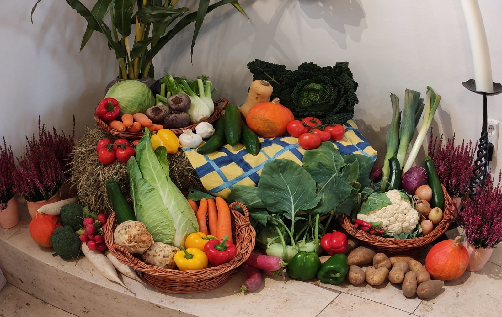 Blick auf Obst u. Gemüse in Schlier