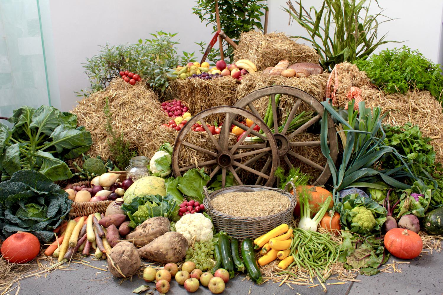 Erntedankaltar mit verschiedenem Gemüse, Obst und anderen Erntegaben