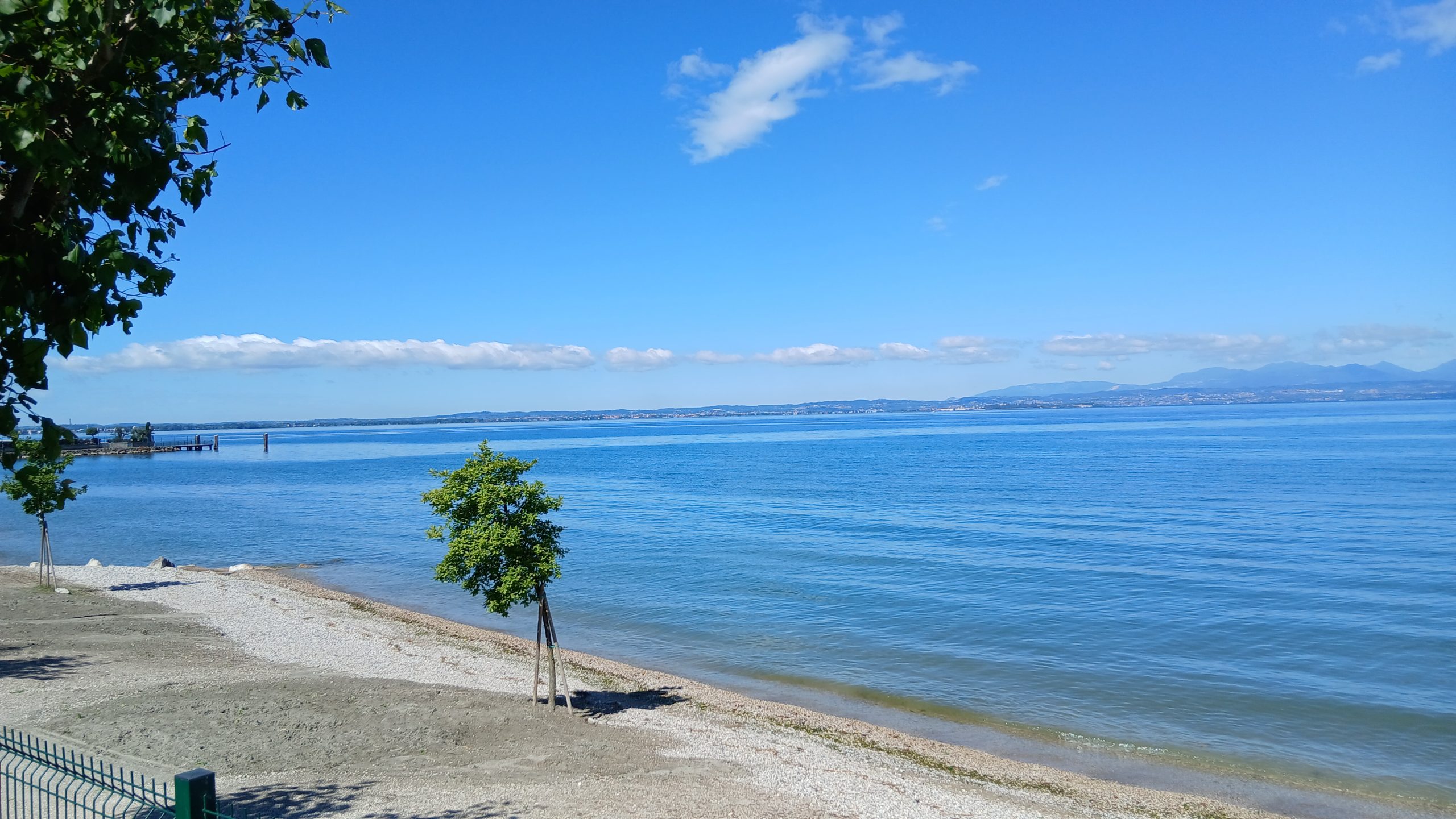 See mit Baum im Vordergrund