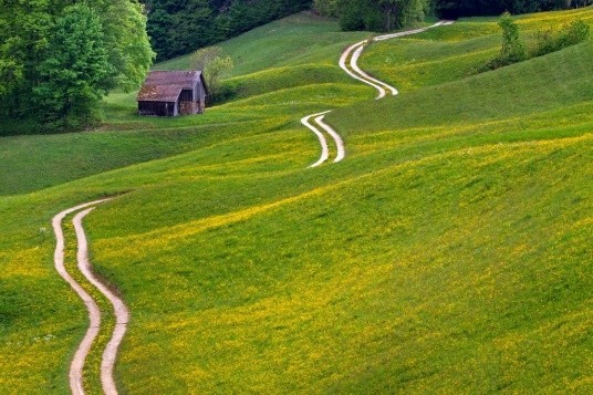 Weg und Wiesen
