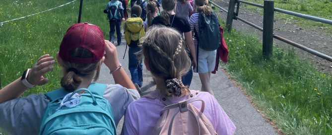 Minis Schlier von hinten auf einem Weg